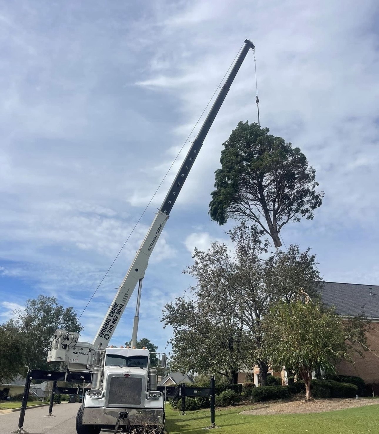 White mobile crane lifting a whole tree away from a brick house