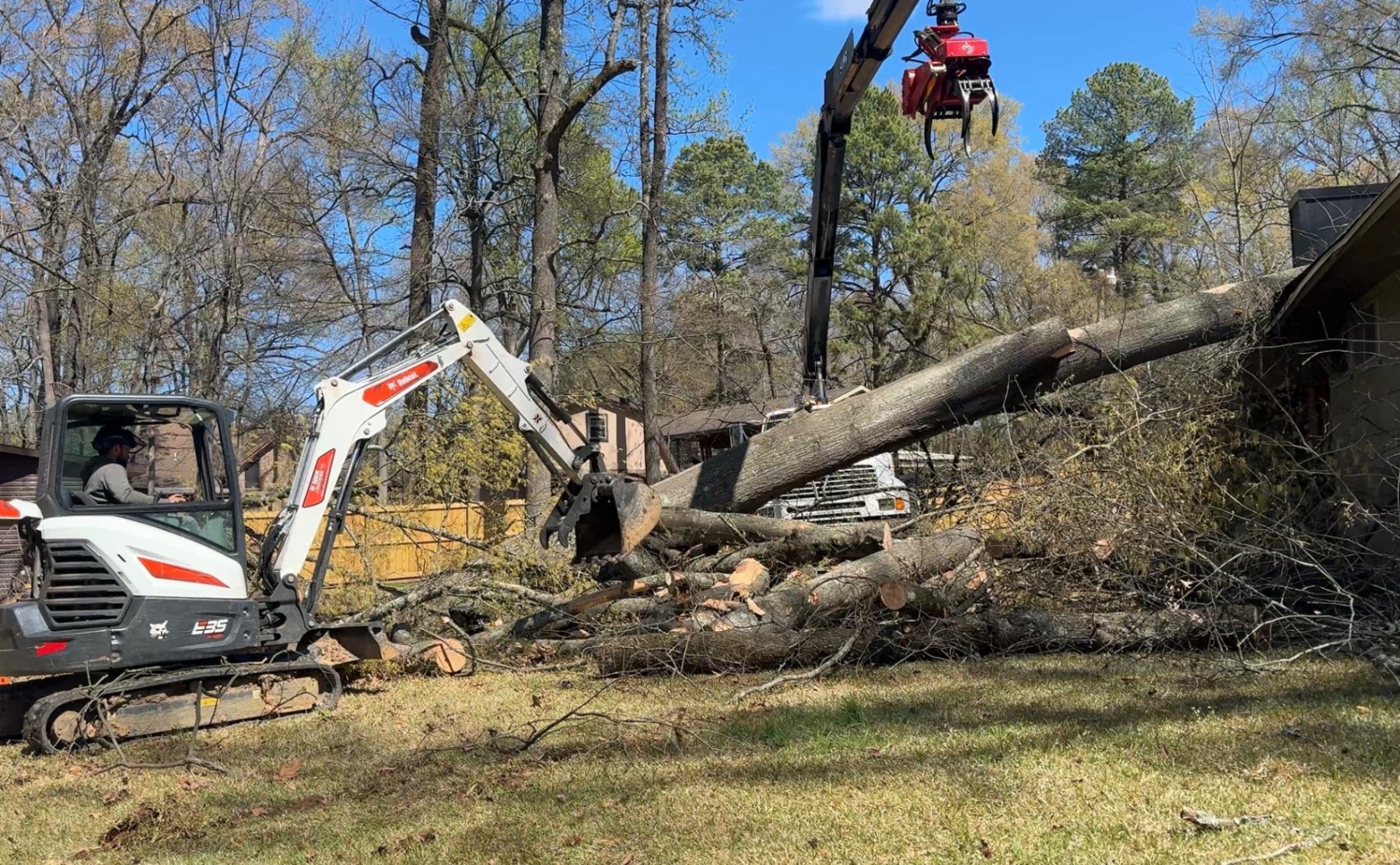 Mini excavator and crane grapple clearing a large fallen tree leaning against a house