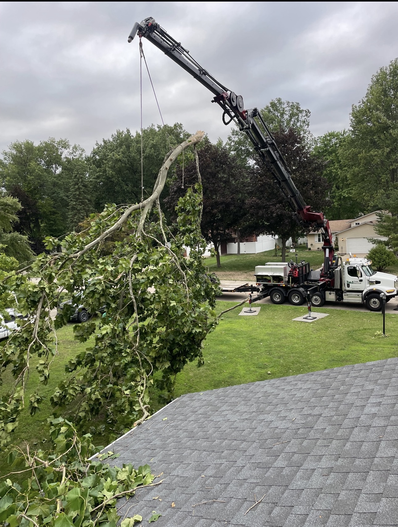 Crane lifting a large limb over a residential roof