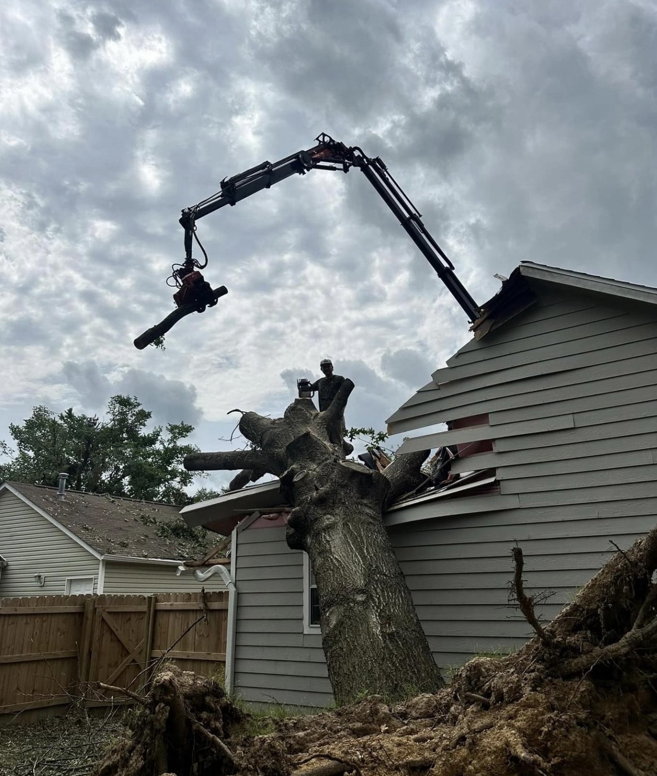 Grapple saw lifting a cut limb from an uprooted tree that broke through the side of a house