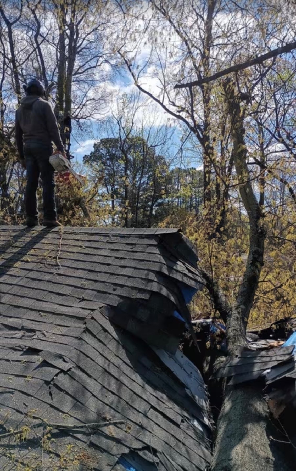 Worker with a chainsaw standing on a roof crushed by a tree trunk