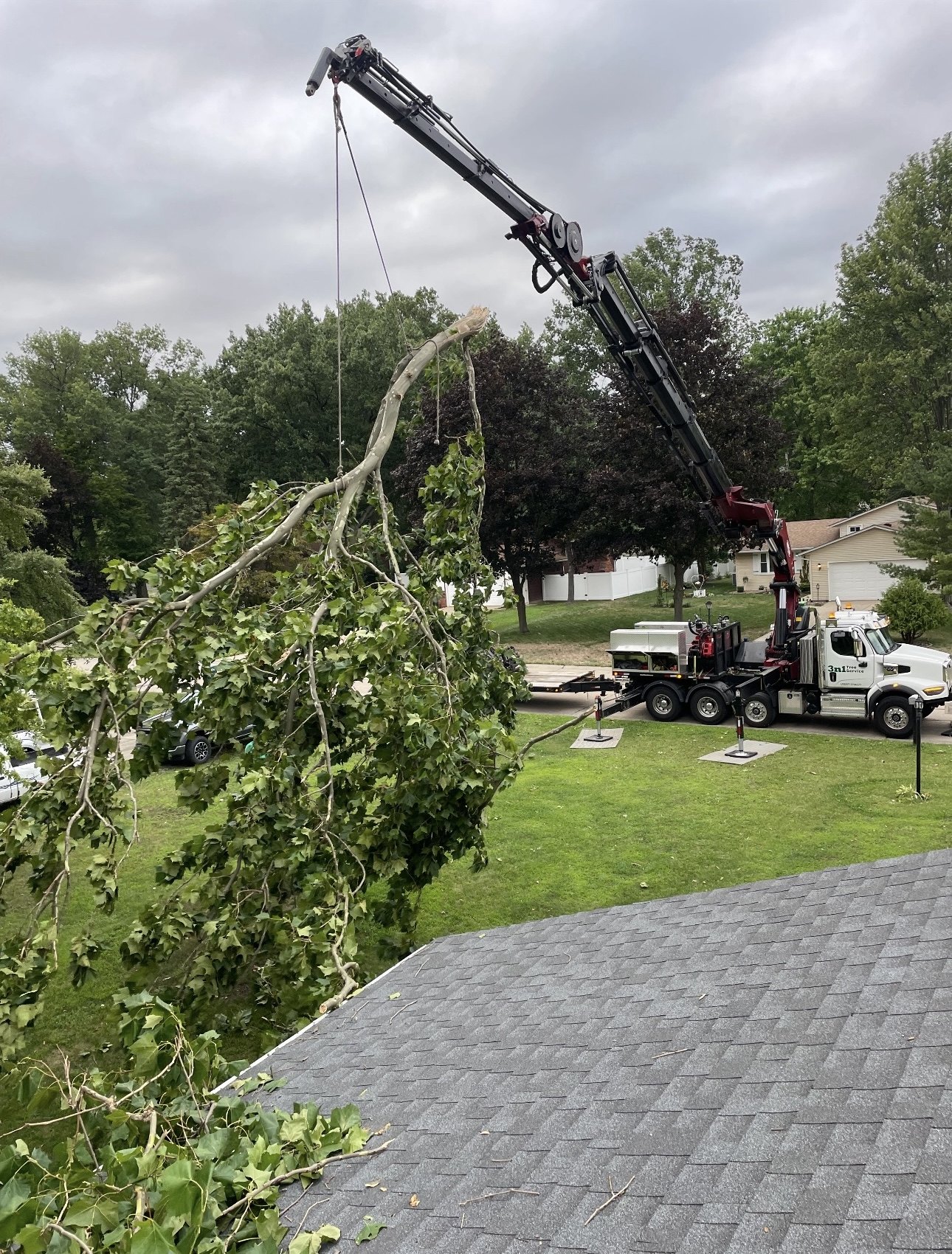 Crane on outriggers lifting a broken limb away from a shingled roof