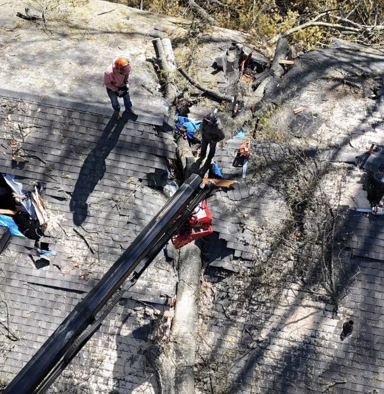 Overhead view of a crane grapple above a tree trunk lying across a shattered roof